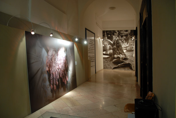 Mostra MOTHER TONGUE - Palazzo Albertini